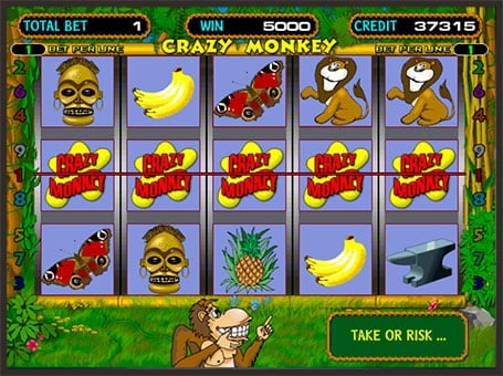 Автомат Crazy Monkey - максимальная выигрышная комбинация Максимальная выигрышная комбинация в автомате Crazy Monkey