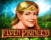 Elven Princess Elven Princess