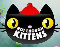 Not Enough Kittens Not Enough Kittens