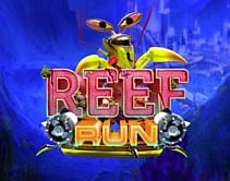 Reef Run Reef Run