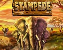 Stampede Stampede