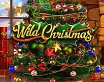 Wild Christmas Wild Christmas