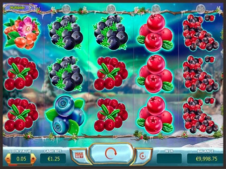 Игровой аппарат Winterberries - символы Символы игрового аппарата Winterberries